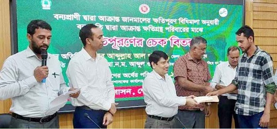 image-here